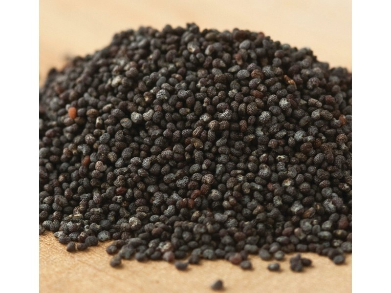 Poppy Seeds 5 Pounds Seeds Free Shipping