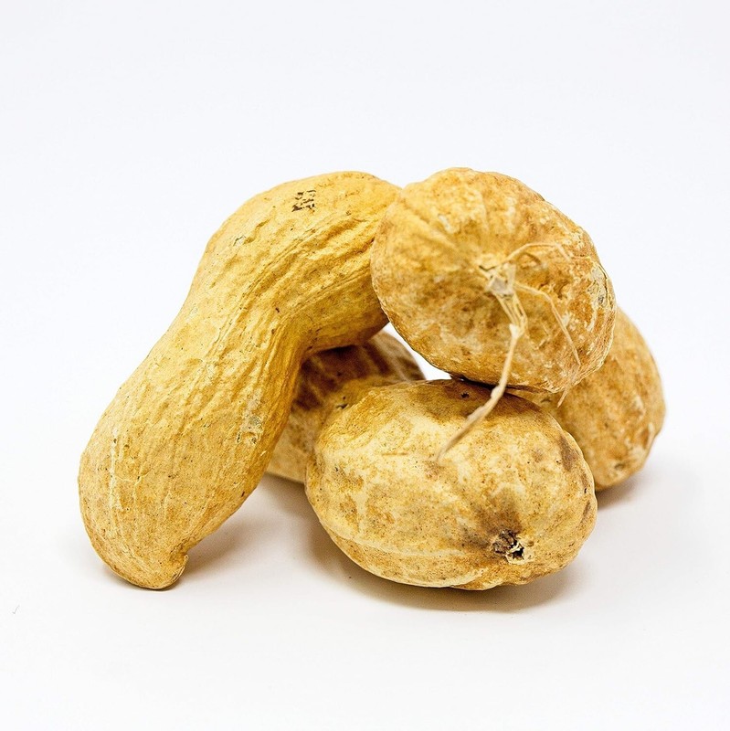 Premium 2.5lb Jumbo Raw Peanuts in Shell For Squirrels - Unsalted Treats gallery