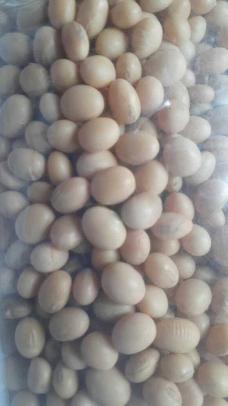 Organic Highly Nutritional Soya Beans For Tofu soy milk making No Preservatives gallery