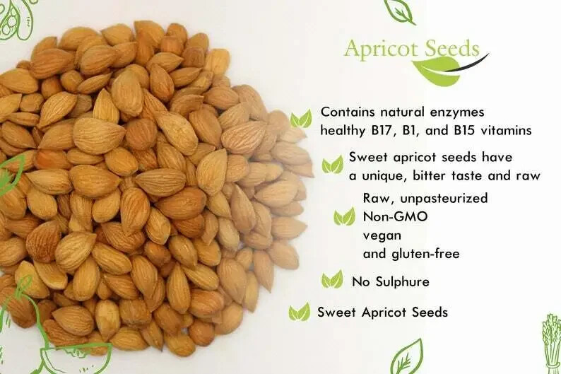 Arashan Apricots Seeds - Dried Sweet Raw Apricot Kernels (1 LB - 16 oz) gallery