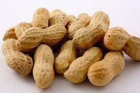 Peanuts Fire Roasted Salted In Shell Bulk Party Pack 10 lb Box gallery