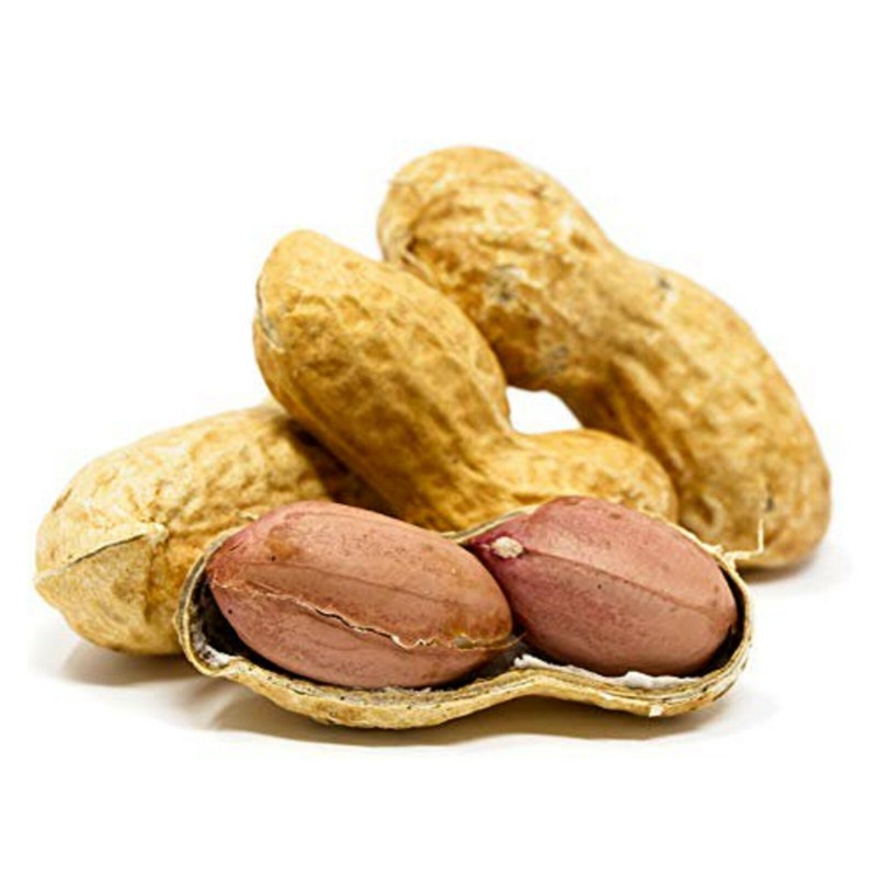 Roasted Peanuts | salted Whole High Quality Organic 100% Healthy Nuts Fresh Pure