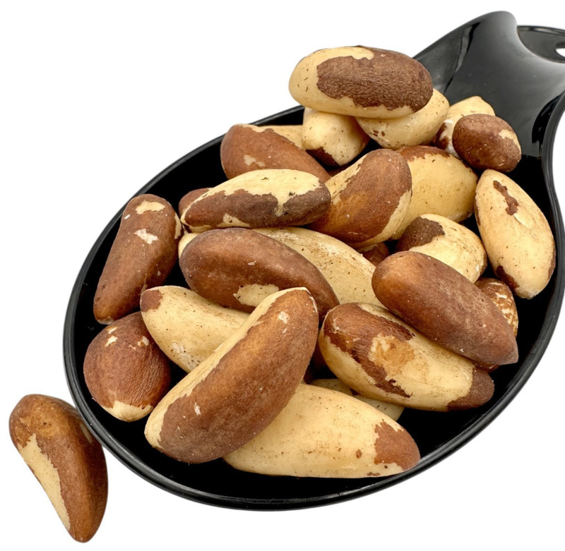 Brazil Nuts - Raw Brazilian Nuts 70g-1.9kg Bertholletia excelsa DDP (USA)