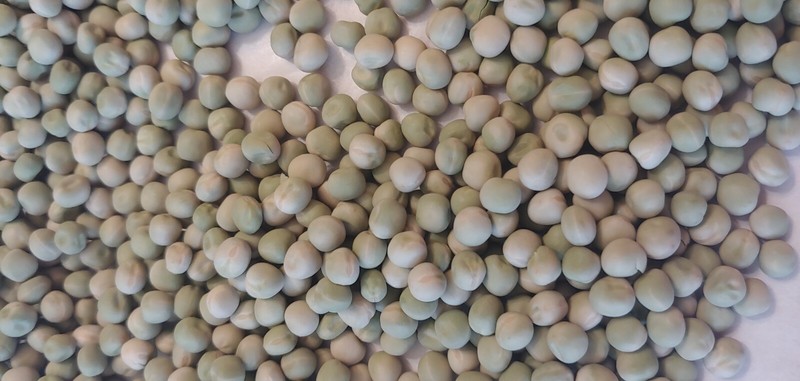 Whole Dried Green Peas Greenpeas - 4 lb