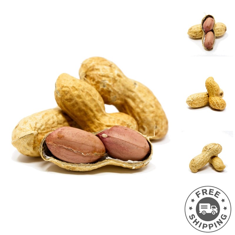 Healthy 2.5lb Unsalted Raw Peanuts in Shell for Squirrel Feeding Adventures