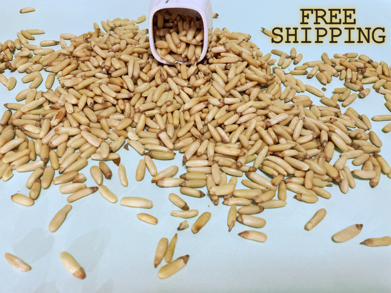 pine nuts Nuts – Whole Nuts, FOODS Pine Nuts, NOW FOODS Pine, Pine Nuts 250g A+ gallery
