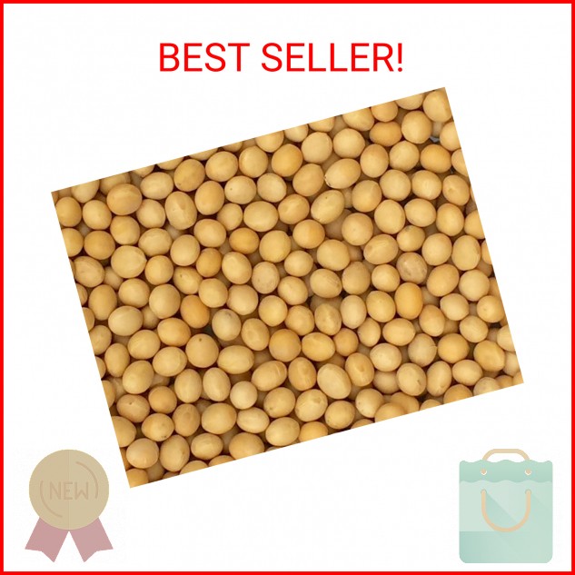 Premium Grade Non-GMO Soybeans (5 Pounds) – Great for Soy Milk and Tofu – Produc