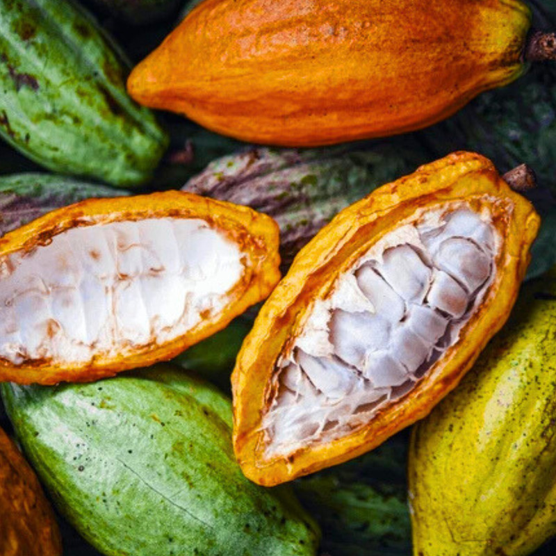 Raw Whole White Cocoa Beans | Natural Product | Cocoa Beans | Superfood for R... gallery