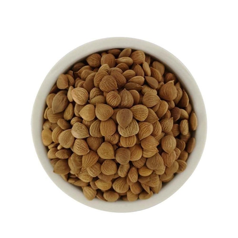 Organic BITTER Apricot Kernels 16 Oz, Whole Raw Apricot Seeds, Sun Dried, Kosher gallery