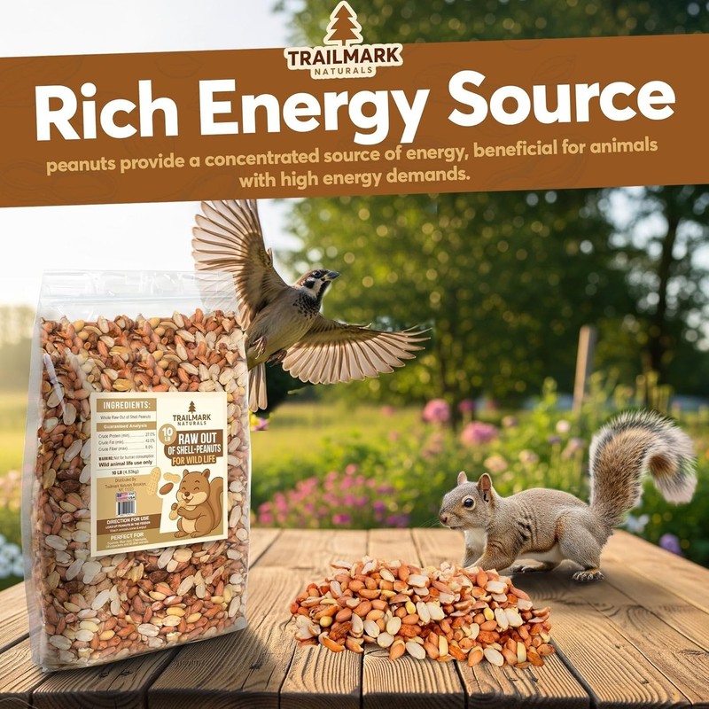 11 LB - Raw Shelled Peanuts for Squirrels, Out of Shell Peanuts for Birds gallery