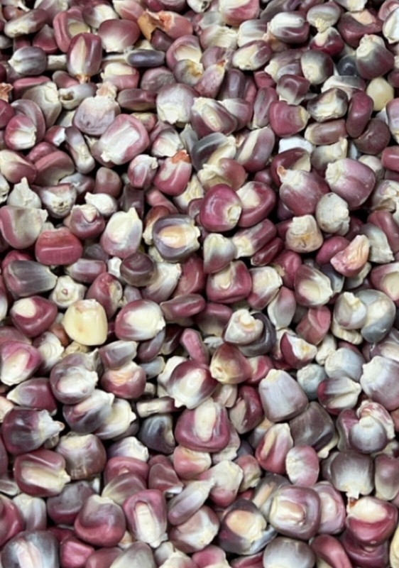 Purple Hominy Corn- Maiz para Pozole Morado Bulk No Chemicals 1 Lb
