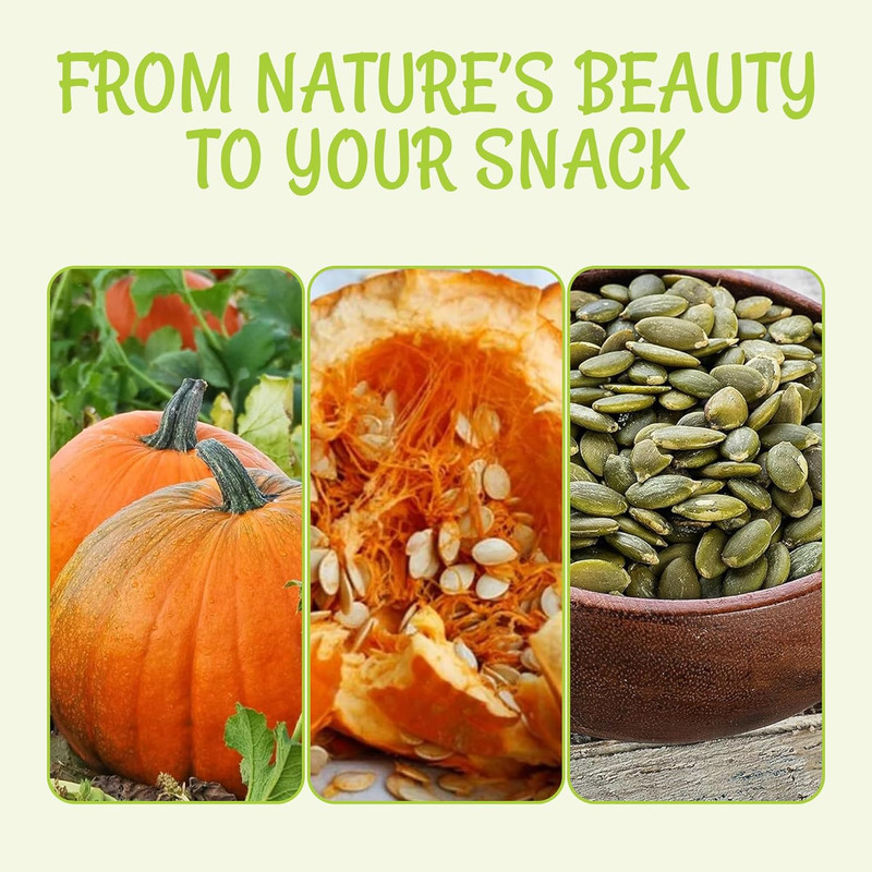 Pumpkin - Roasted Salted - 2 Lb - No Shell Pepitas - Packed in New York Zip-Sea gallery