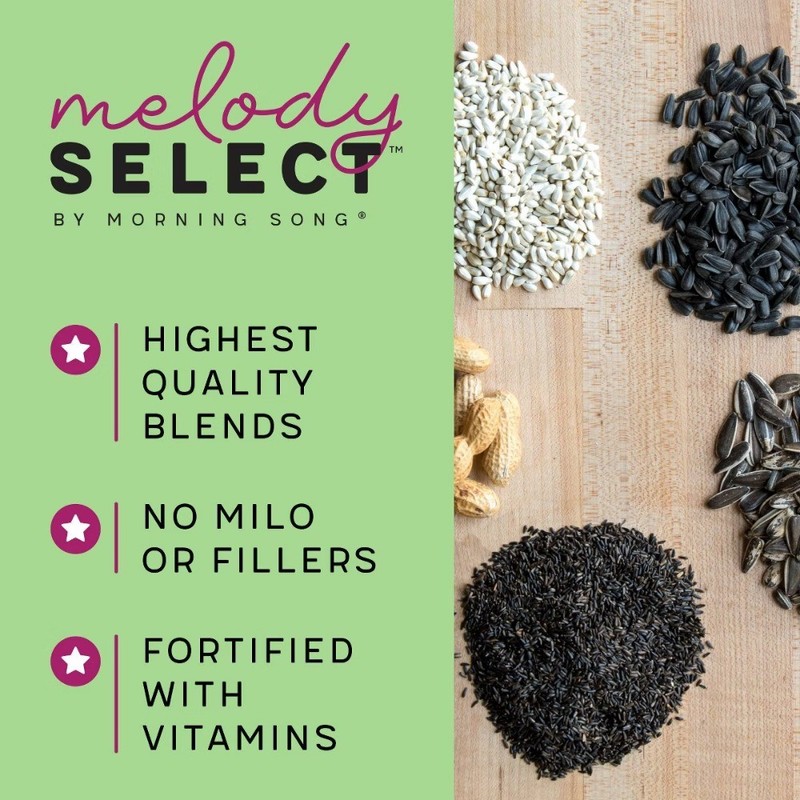 Select 5lb Waste Free Nut & Fruit Wild Bird Food: Shell-Free, Sunflower Hearts gallery