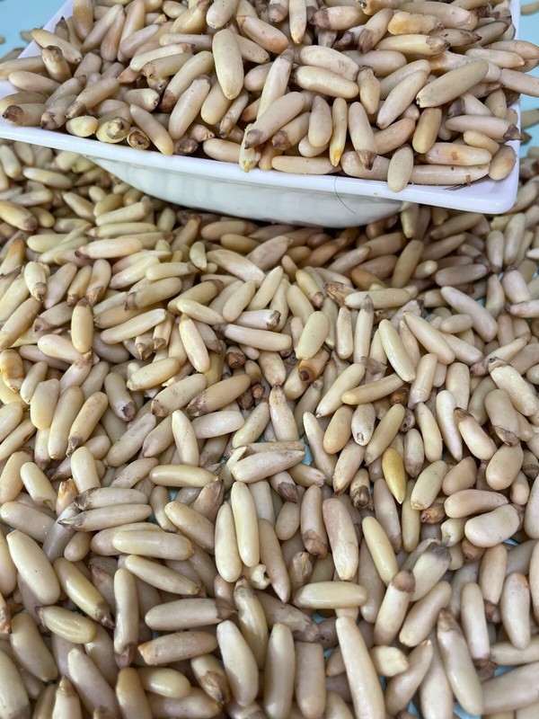 Pine Nut (Chilgoza) Without Shell Premium quality Pine Nut Organic A+ Grade 150g gallery