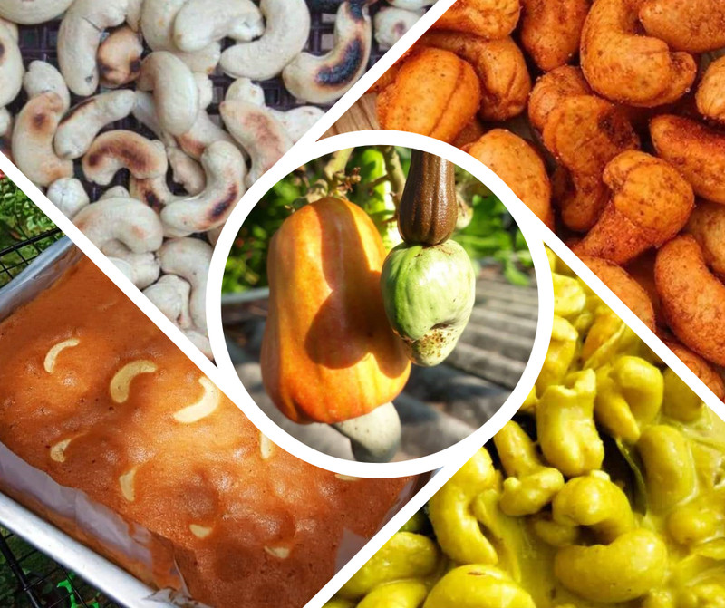 Cashew Nuts Whole Taste Fresh A Grade Organic Natural Pure Non GMO Best Quality