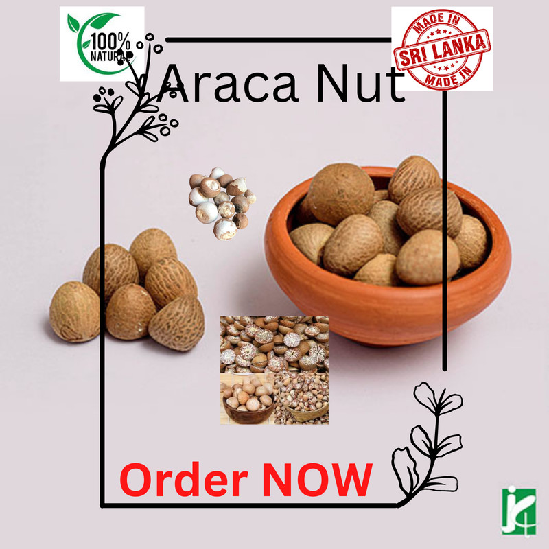 Young Betel Nuts 100% Ceylon Organic Sun Dried Fresh Areca Nut (Karunkapuwak)