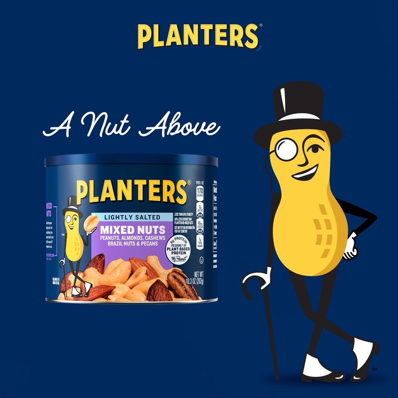 Lightly Salted Mixed Nuts with Almonds Cashews Hazelnuts Pecans Plant gallery