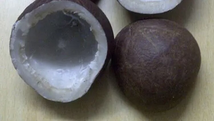 Dry Coconut Halve Whole 500g Copra Organic Fresh whole Rich In Oil Ceylon Made gallery