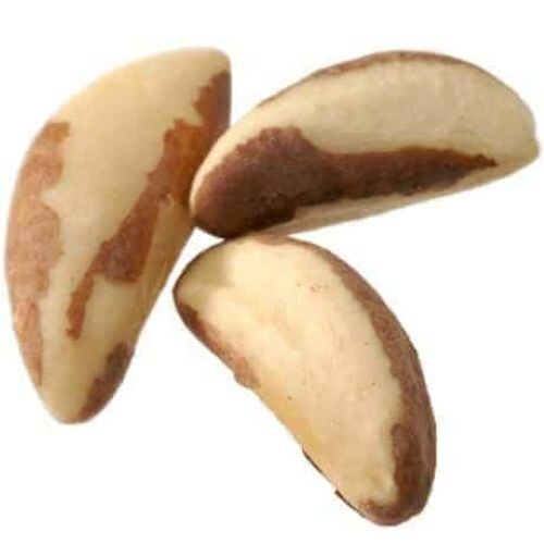 Bulk Brazil Nuts 10 lb Wholesale Box gallery