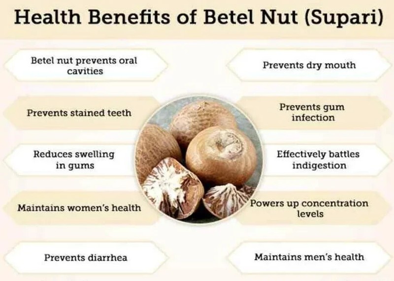 Best Quality Dried Areca Nut Whole free Ceylon 100% Natural Organic clean gallery