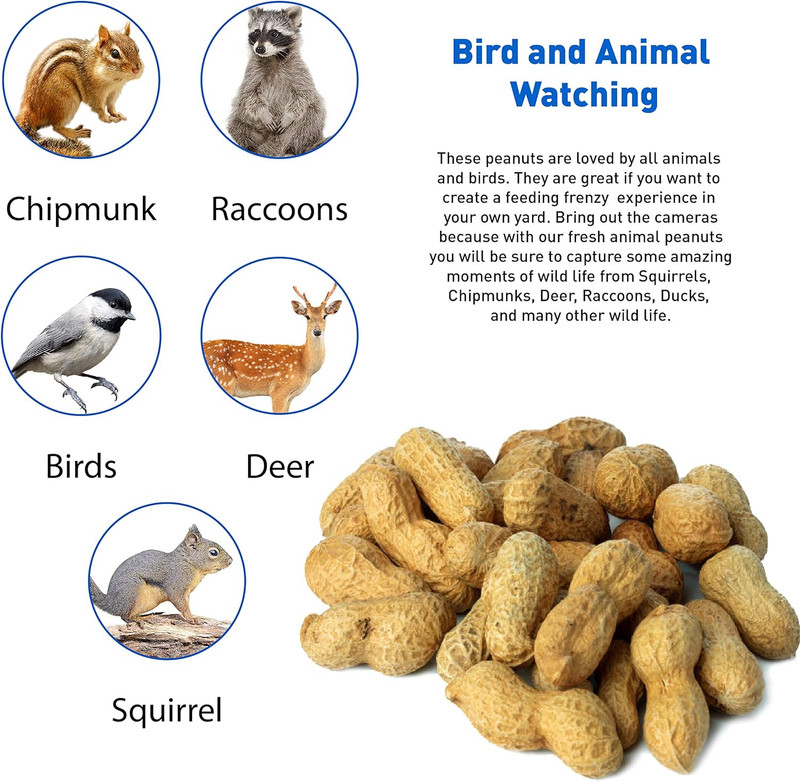 25 Pound Bag Animal Peanuts In-Shell. Peanuts for Squirrels, Birds, Deer, Pigs a gallery