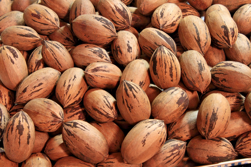 Hand-Picked "Candy" Pecans — PRIZED Cultivar FRESH off the Tree — 1 LB + Sampler gallery