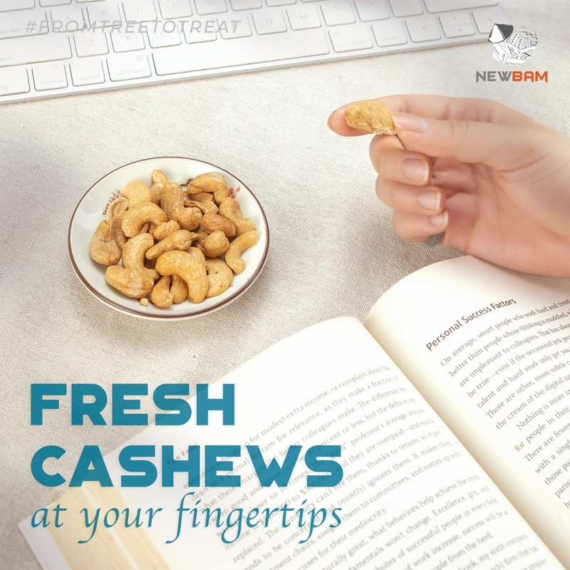NEWBAM Lightly Salted Cashews Individual Packs 12 Cashew Snack Packs Roasted Nut gallery
