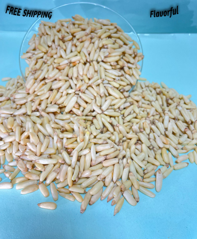 Pine Nut (Chilgoza) Without Shell Premium quality Pine Nut Organic A+ Grade 150g gallery