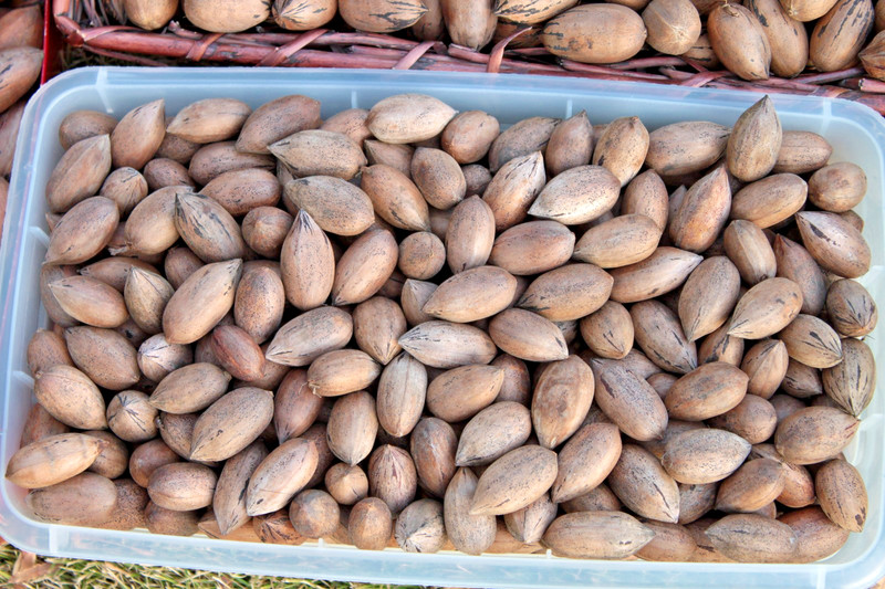 Hand-Picked GA Pecans — MANY Cultivars — 2 LB Sorted Variety Pack gallery