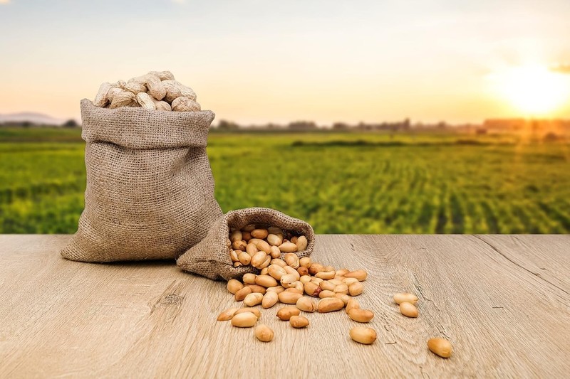 Raw In-Shell Peanuts – Perfect for Boiling, Wildlife & Healthy Snacking, 2lbs gallery