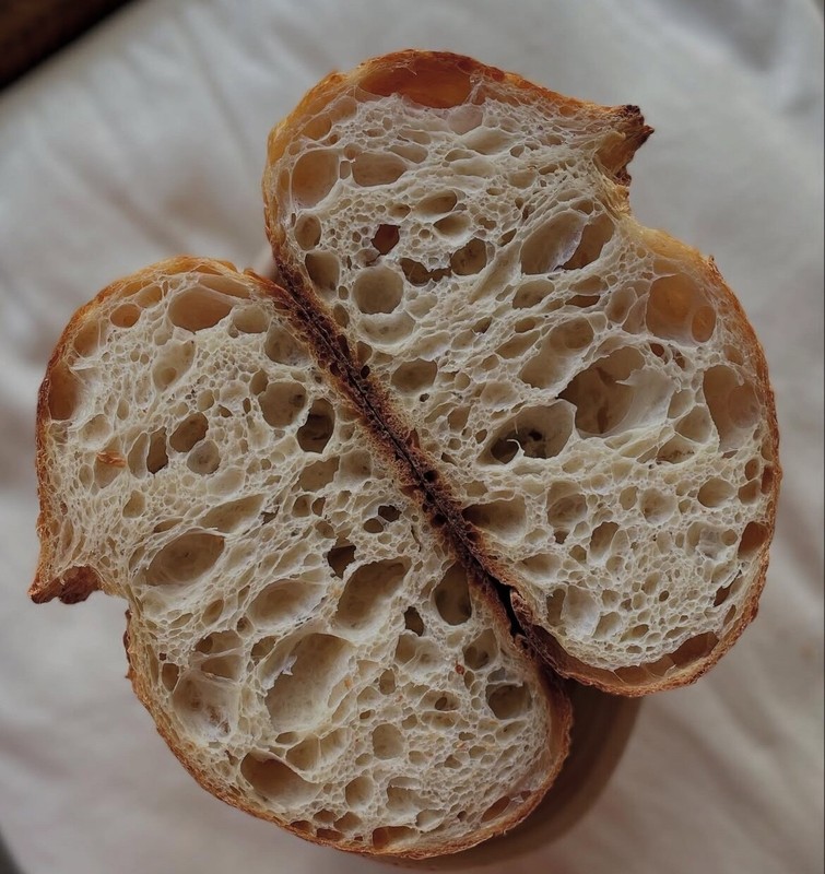 WILD YEAST Sourdough Starter Heritage San Francisco - 241yrs Old TOP SELLER! gallery