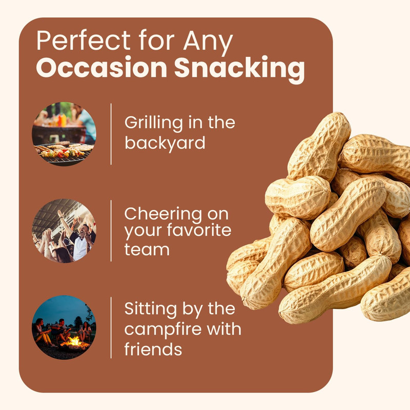 Salted Roasted Peanuts in Shell, USA Grown Whole, Non-Gmo, Gluten-Free, Vegan, C gallery