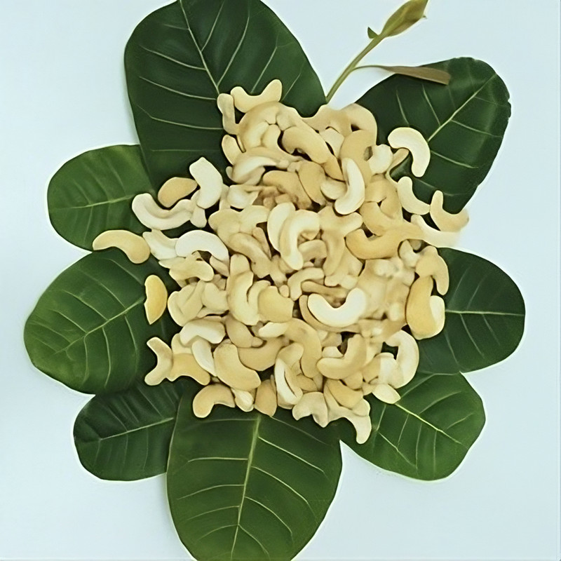 Cooking Cashew Nuts Premium Quality Pure fresh raw cashews 100% natural 1Kg gallery