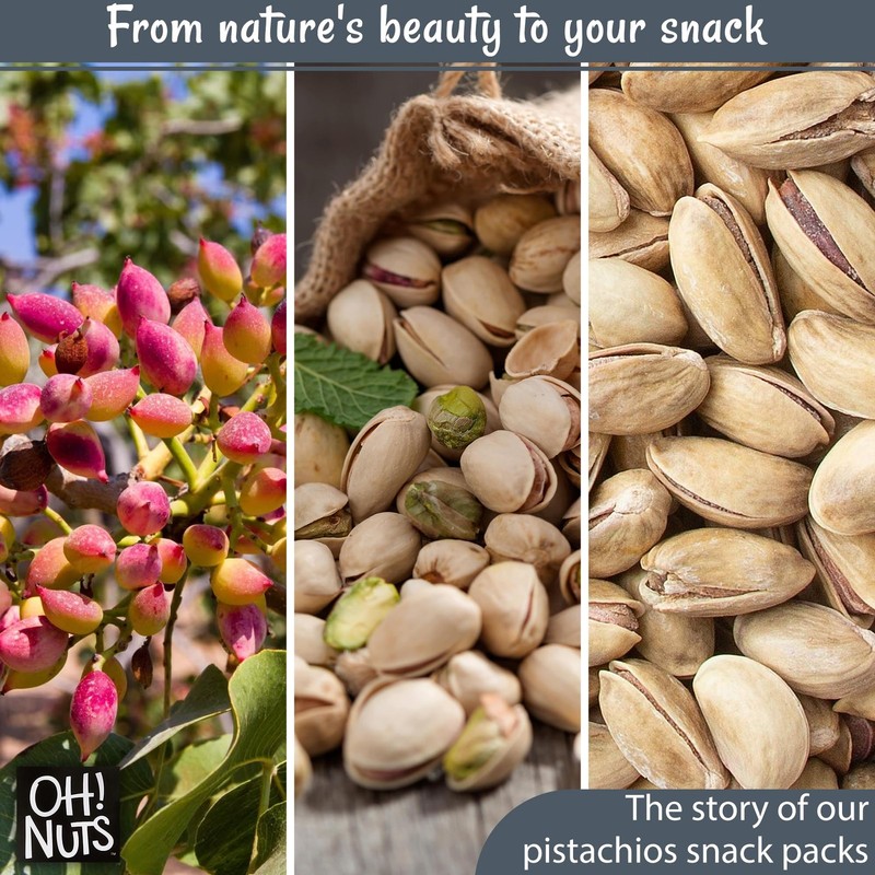 Oh! Nuts 2 LB Specialty Pistachios Finely Salted | Imported Turkish Antep Pistac gallery