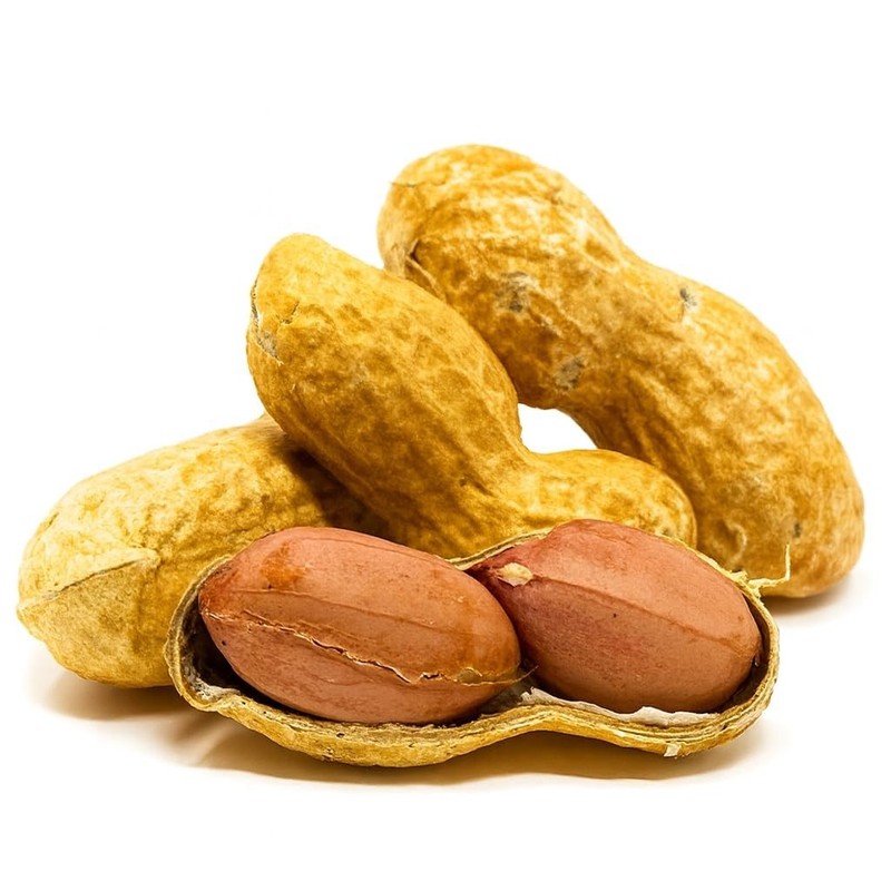 Sky | Grown, Raw Peanuts in Shell for Squirrels, 2.5lb | Jumbo Unsalted Pea... gallery