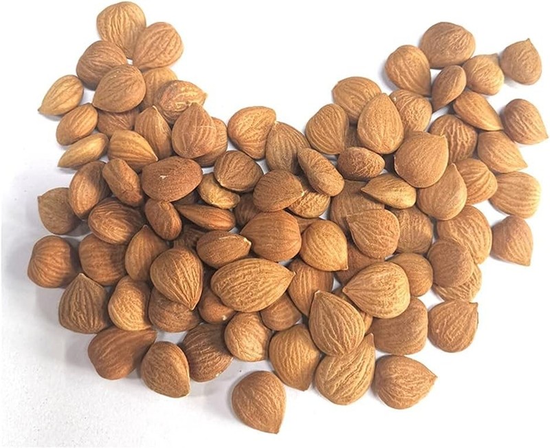 Natural Bitter Apricot Kernels, Organic USDA Certified Bitter Apricot gallery