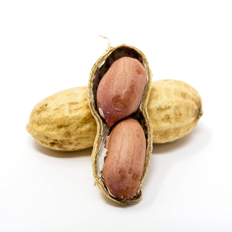 Healthy 2.5lb Unsalted Raw Peanuts in Shell for Squirrel Feeding Adventures gallery