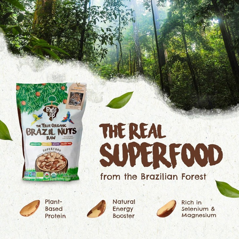 Organic Brazil Nuts Snack Medium Size 32 oz Raw Unsalted Kosher Vegan Gluten gallery