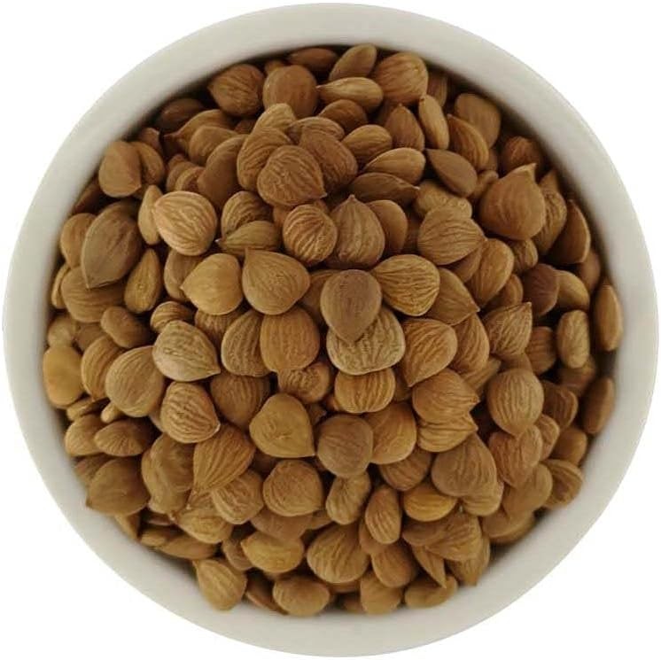 Natural Bitter Apricot Kernels, Organic USDA Certified Bitter Apricot gallery