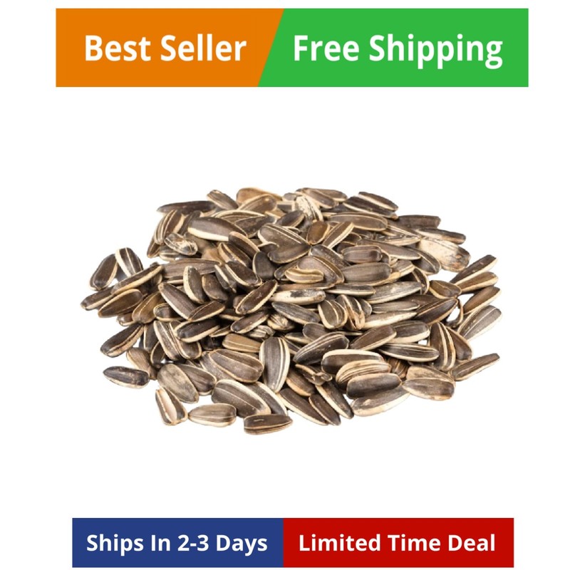 Jumbo Lightly Sea Salted Sunflower Seeds by – 2 LBS. – Top 14 Food Allergen F…
