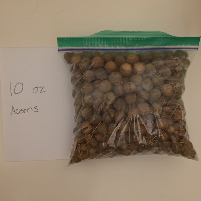 10 oz Whole Acorns Baking Nut & Seed in Resealable Bag Pantry Tree Nut
