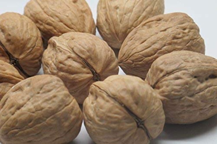 Walnuts Current New Crop huge In shell 10 lbs, Grown in California, Natural H... gallery
