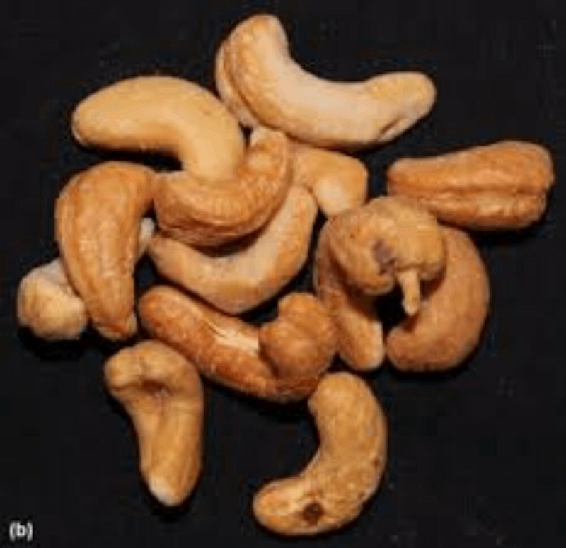 Cashew Nuts Roasted Salted Bottled (17.63oz) Ceylon Organic Premium Quality Nuts gallery