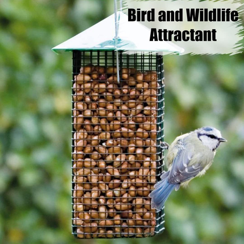 Organic Shelled Peanuts, 10 Lbs for Birds and Squirrels. USA Grown Non-Gmo, Raw, gallery