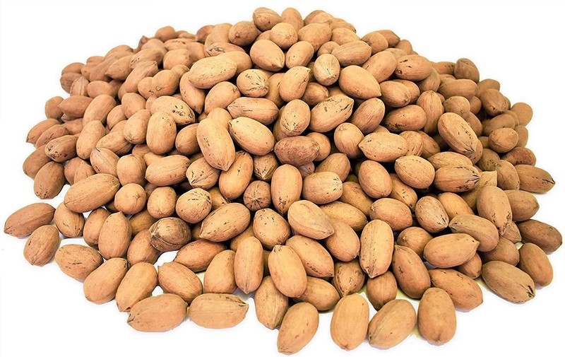 Premium Georgian Raw Fresh Pecans in Shell (4.5 Lbs in Bag) gallery