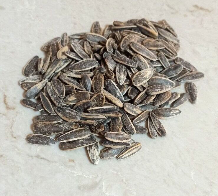 400gr./14oz.Roasted Salted Jumbo Sunflower Seeds Handicraft Jerusalem Holy Land gallery