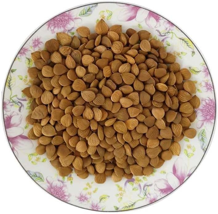 Natural Bitter Apricot Kernels, Organic USDA Certified Bitter Apricot gallery