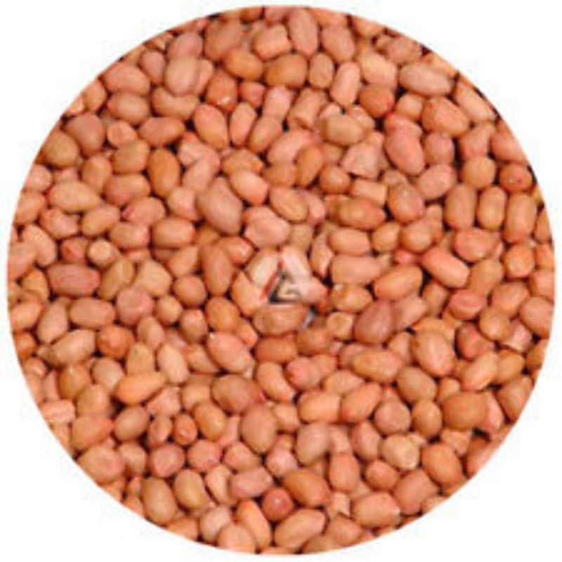 Raw Peanuts – 1 KG