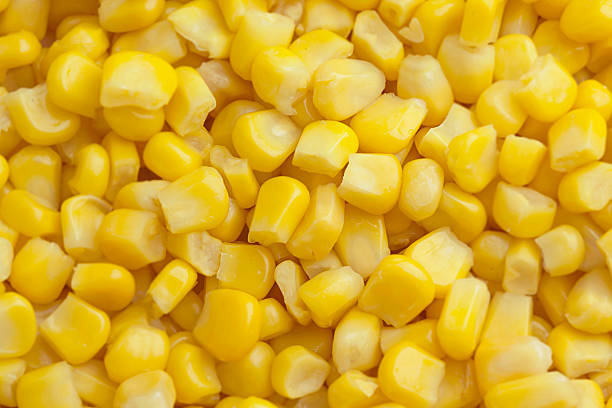 Corn|Sweet Corn|Maize|Golden Bantam Seeds(For Popcorn)+Ceylon 100% Natural gallery