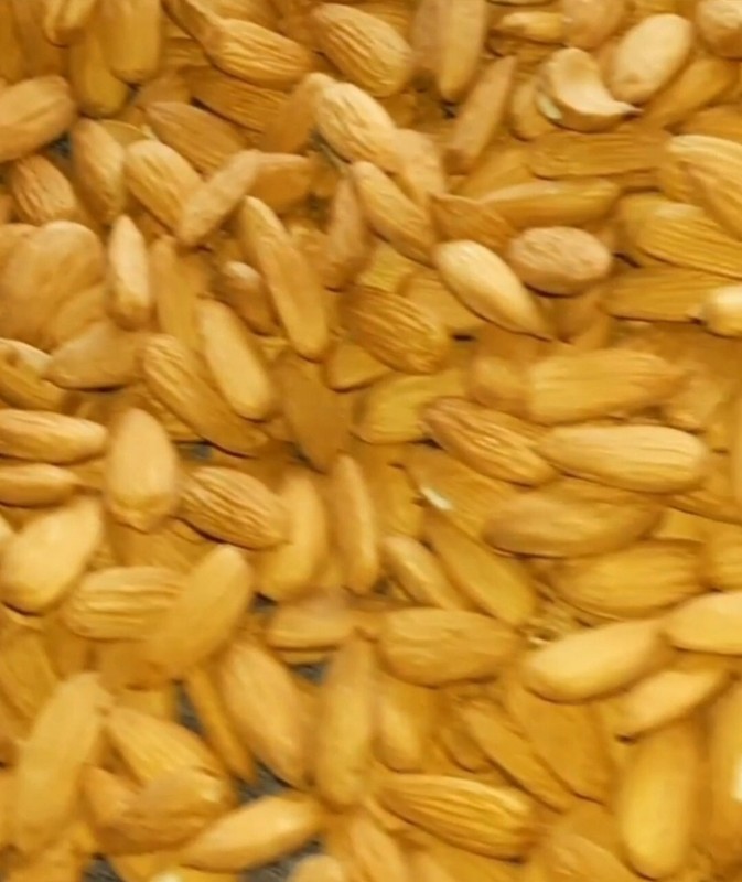 Nuts Organic Whole Raw Almonds – Bulgaria 500 grams